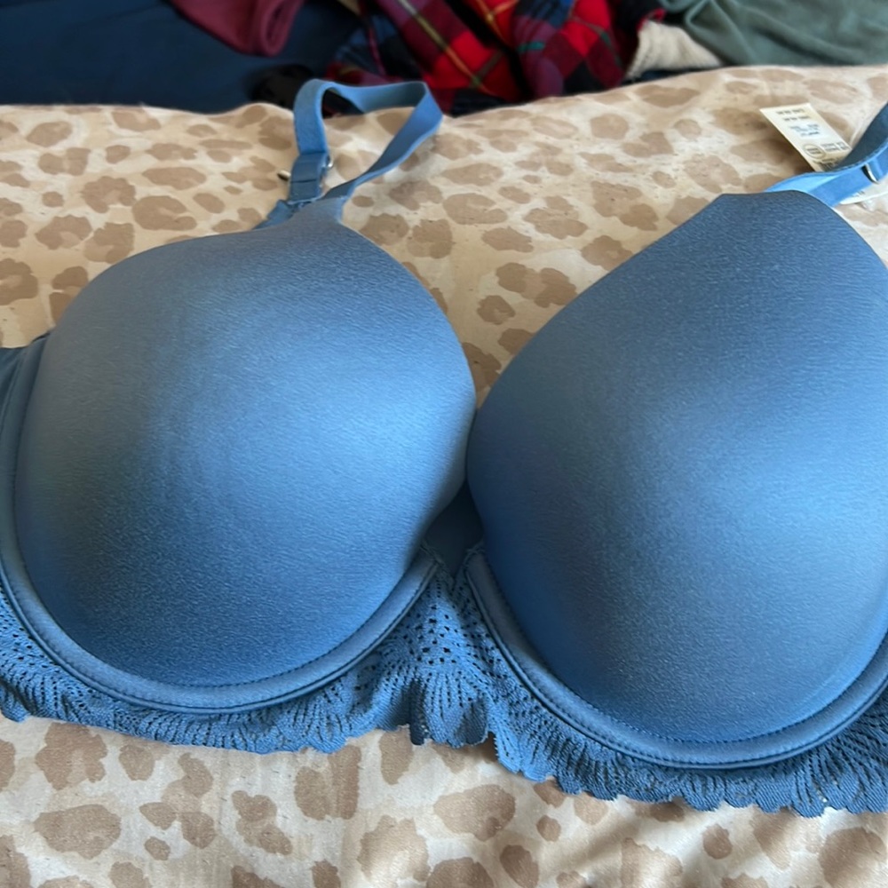 34 DD bra aerie